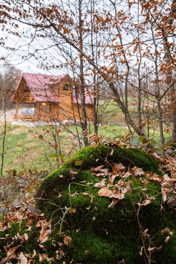 Brvnaria Villa Slatina Varoš Exterior foto